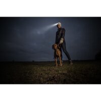 ENERGIZER® Vision HD Kopflampe inkl. 3 AAA Batterie 200 Lumen bis 50m Leuchtweite OVP beschädigt