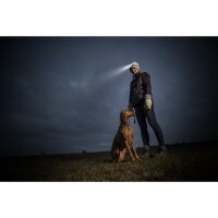 ENERGIZER® Vision HD Kopflampe inkl. 3 AAA Batterie 200 Lumen bis 50m Leuchtweite OVP beschädigt